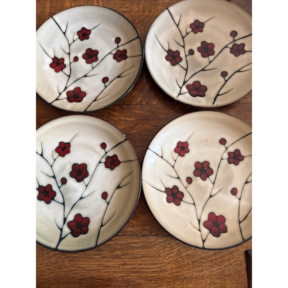 Pfaltzgraff Studio Aster Salad Plates Set of 4 Red Cherry Blossom Tan
11"